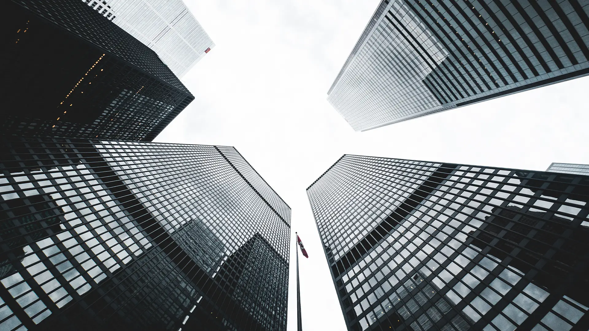 VSYS Launches PlumJob.com – Redefining Recruitment for the Digital Age